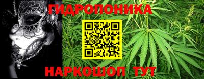 ПСИЛОЦИБИНОВЫЕ ГРИБЫ Рязань