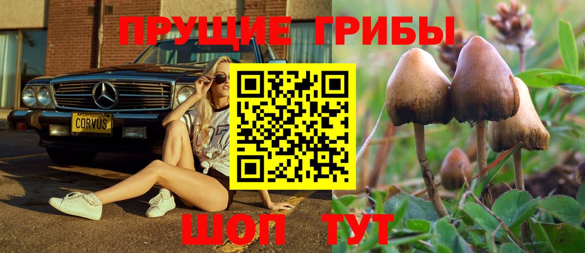 Галлюциногенные грибы Psilocybine cubensis  Вход с VPN  Острогожск 